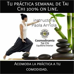 Practicas de Tai Chi 100% on line